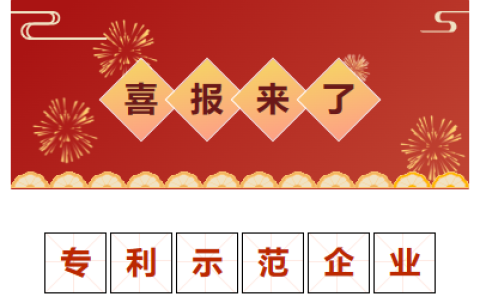喜報(bào)！金華市專利示范企業(yè)！